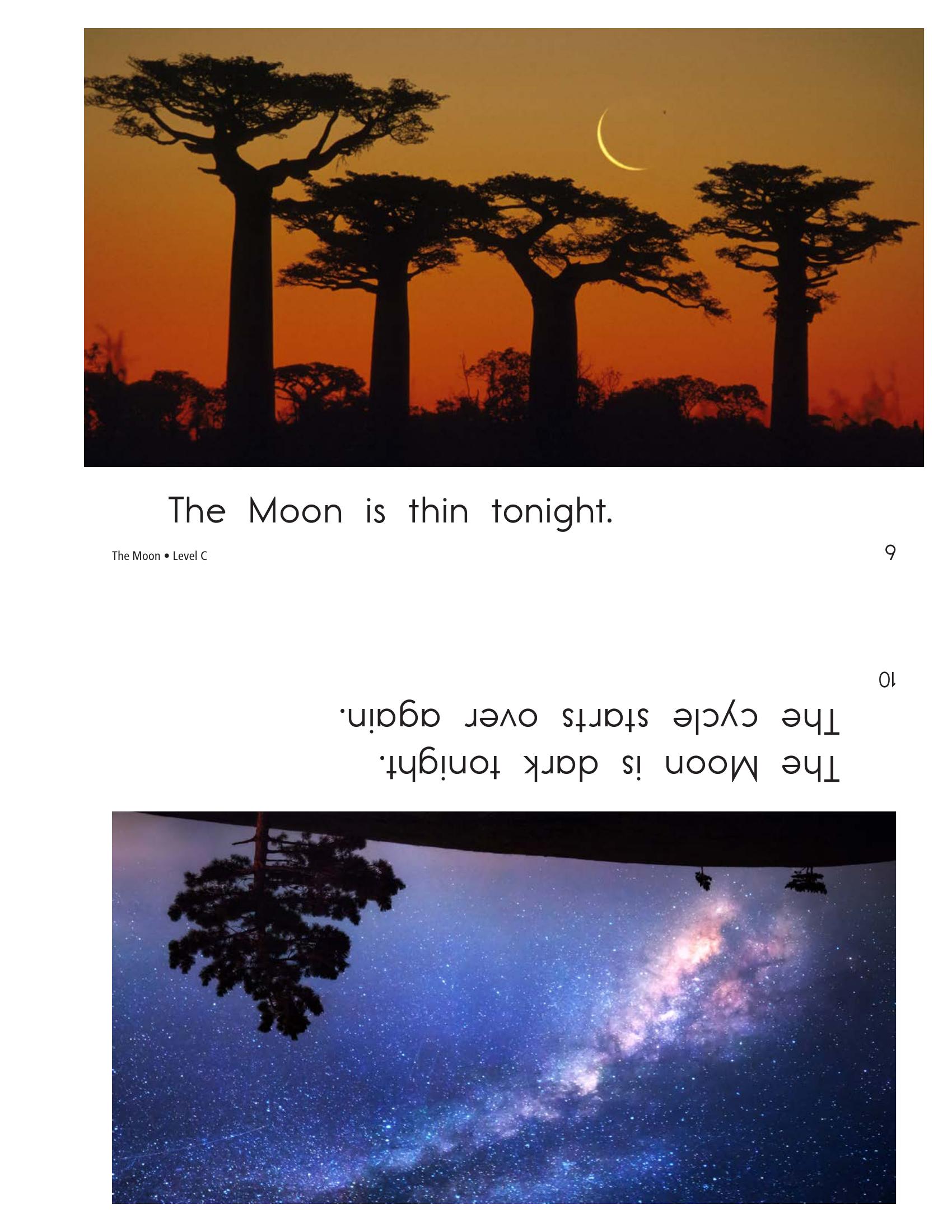 Thin moon with baobab trees at sunset